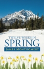 Twelve Weeks in Spring - eBook