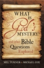 What Is God's Mystery? : And Other Bible Questions Explored - eBook