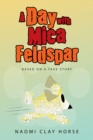 A Day with Mica Feldspar : Based on a True Story - eBook