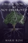 Struck Down, But Not Destroyed - Book