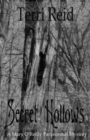 Secret Hollows : A Mary O'Reilly Paranormal Mystery - Book Seven - Book