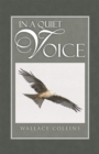 In a Quiet Voice - eBook