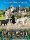 The Brick Wall : The Magical World of Carpathia - Book