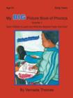 My Big Picture Book of Phonics : Teach Children to Learn and Write the Alphabet Faster Than Ever! - Book