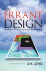 An Errant Design : Glimpses of God Through Brokenness - eBook