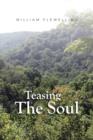 Teasing The Soul - Book