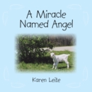 A Miracle Named Angel - eBook