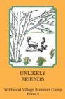 Unlikely Friends - Book