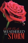 Weathered the Storm - eBook