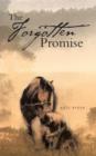 The Forgotten Promise - Book