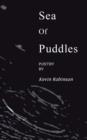 Sea of Puddles - Book
