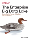 The Enterprise Big Data Lake : Delivering the Promise of Big Data and Data Science - eBook