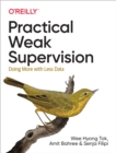 Practical Weak Supervision - eBook