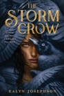 The Storm Crow - eBook