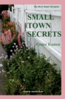 Small Town Secrets : (The Riverbend Chronicles) - Book