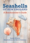 Seashells of New England : A Beachcomber's Guide - Book