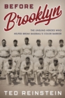 Before Brooklyn : The Unsung Heroes Who Helped Break Baseball’s Color Barrier - Book
