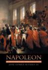 Napoleon : A Historical Perspective - Book