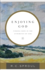 Enjoying God : Finding Hope in the Attributes of God - eBook