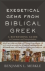 Exegetical Gems from Biblical Greek : A Refreshing Guide to Grammar and Interpretation - eBook