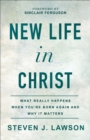 New Life in Christ : What Really Happens When You're Born Again and Why It Matters - eBook