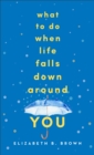 What to Do When Life Falls Down Around You - eBook