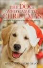 The Dog Who Came to Christmas : And Other True Stories of the Gifts Dogs Bring Us - eBook