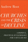 Churches and the Crisis of Decline (Ministry in a Secular Age Book #4) : A Hopeful, Practical Ecclesiology for a Secular Age - eBook