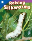 Raising Silkworms - Book