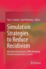 Simulation Strategies to Reduce Recidivism : Risk Need Responsivity (RNR) Modeling for the Criminal Justice System - Book