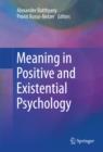 Meaning in Positive and Existential Psychology - eBook