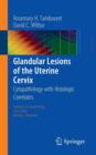 Glandular Lesions of the Uterine Cervix : Cytopathology with Histologic Correlates - Book