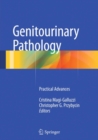 Genitourinary Pathology : Practical Advances - eBook