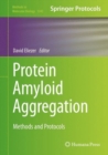 Protein Amyloid Aggregation : Methods and Protocols - Book