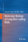 Molecular Biology of Long Non-coding RNAs - Book