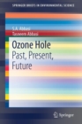 Ozone Hole : Past, Present, Future - Book