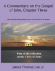A Commentary on the Gospel of John, Chapter Three - Book