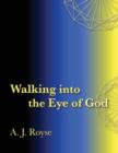 Walking Into the Eye of God - Book