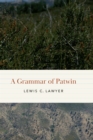 Grammar of Patwin - eBook