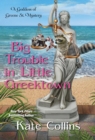 Big Trouble in Little Greektown - eBook