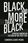 Black and More than Black : African American Fiction in the Post Era - eBook