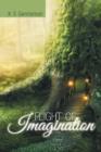Flight of Imagination - Book