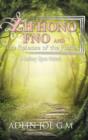 Zifhono Fno and the Release of the Fairies : A Fantasy Upon Noland - Book