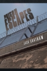 Prison Escapes - eBook