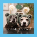 Sookie and Ivy Friends Forever! - Book