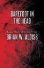 Barefoot in the Head - eBook