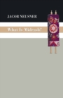 What Is Midrash? - Book