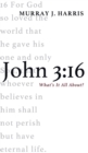 John 3 : 16 - Book