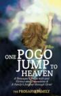 One Pogo Jump to Heaven : A Family Recounts God's Faithfulness through Teenage Depression and Sudden Loss - Book