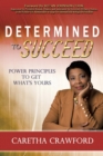 Determined to Succeed - Book
